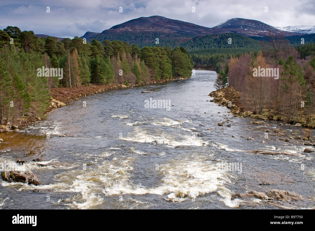 Le courant rapide de la rivière Dee si les forêts de pins indigènes à Balmoral Braemar 2211 SCO Banque D'Images