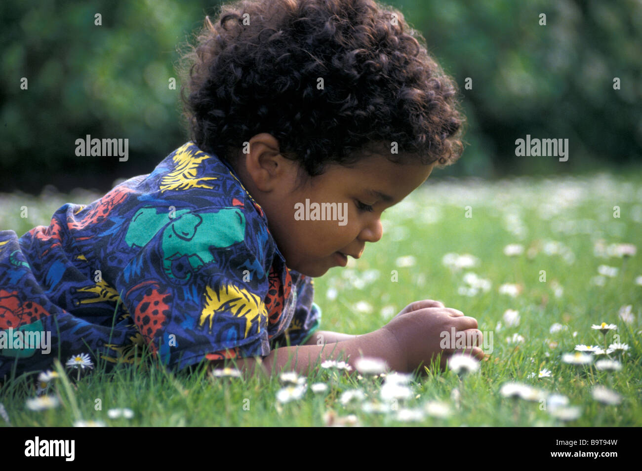 Petit garçon noir allongé sur le ventre dans l'herbe l'examen de marguerites Banque D'Images