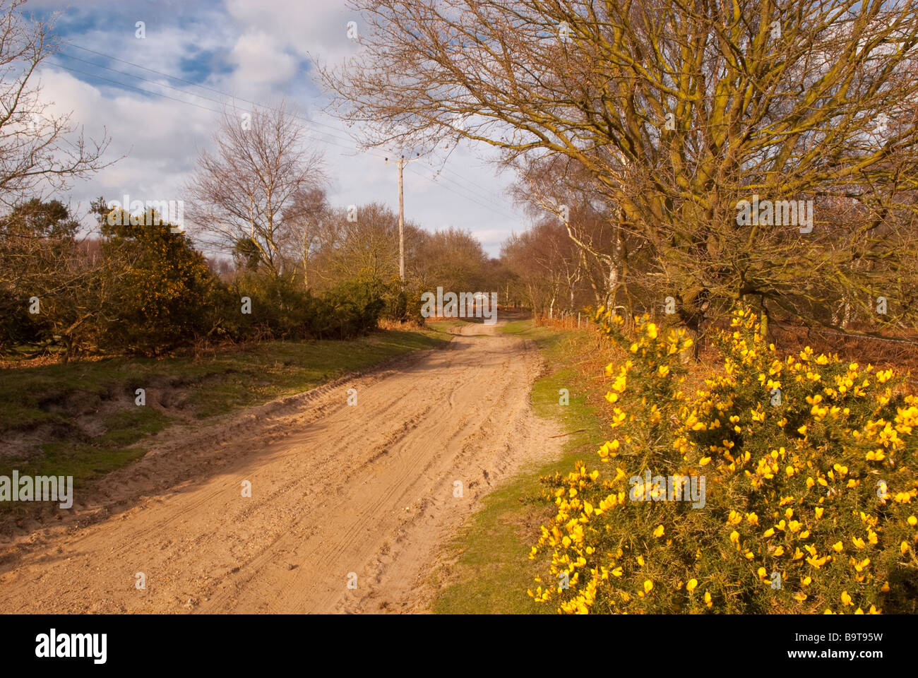 Une vue le long de la réserve naturelle nationale de marche Walberswick Banque D'Images