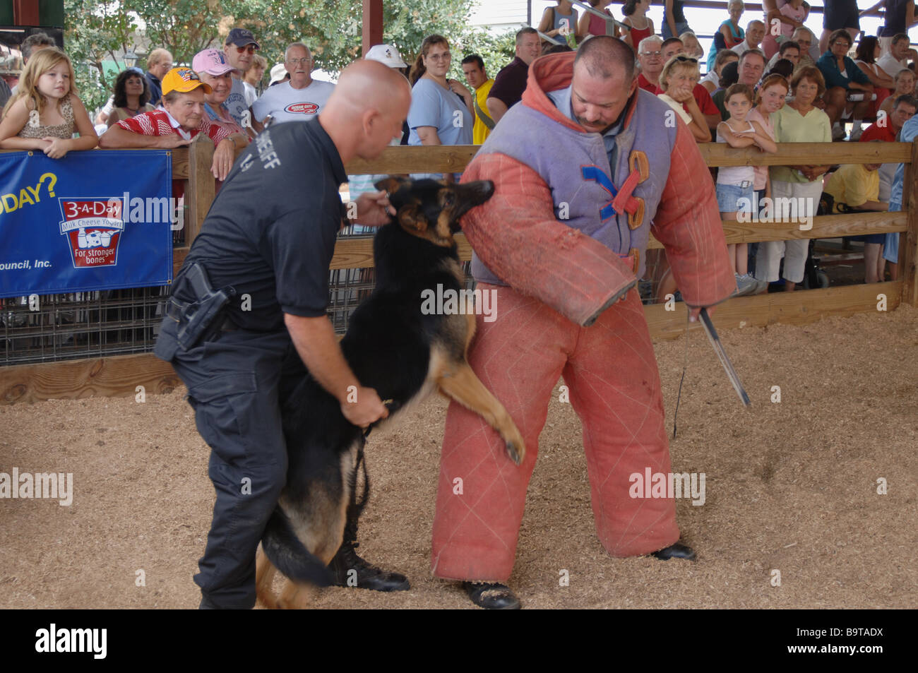 Policiers de l'état démontrent un chien policier appréhender un criminel à l'Dutchess County Fair à Rhinebeck, NEW YORK Banque D'Images