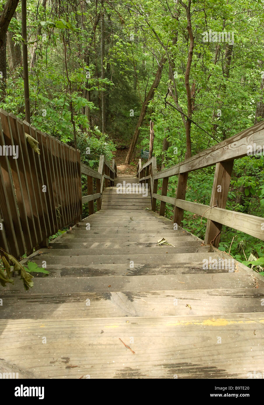 Escalier en bois à Chimney Rock State Park, North Carolina Banque D'Images