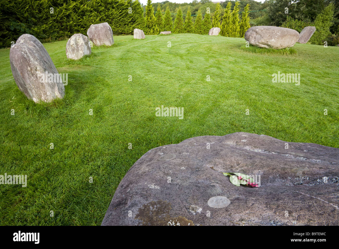 Cercle de pierres avec l'épargne. L'un des plus grands cercles de pierre dans le sud-ouest de l'Irlande avec une offrande d'une fleur rouge sur Dolmen Banque D'Images
