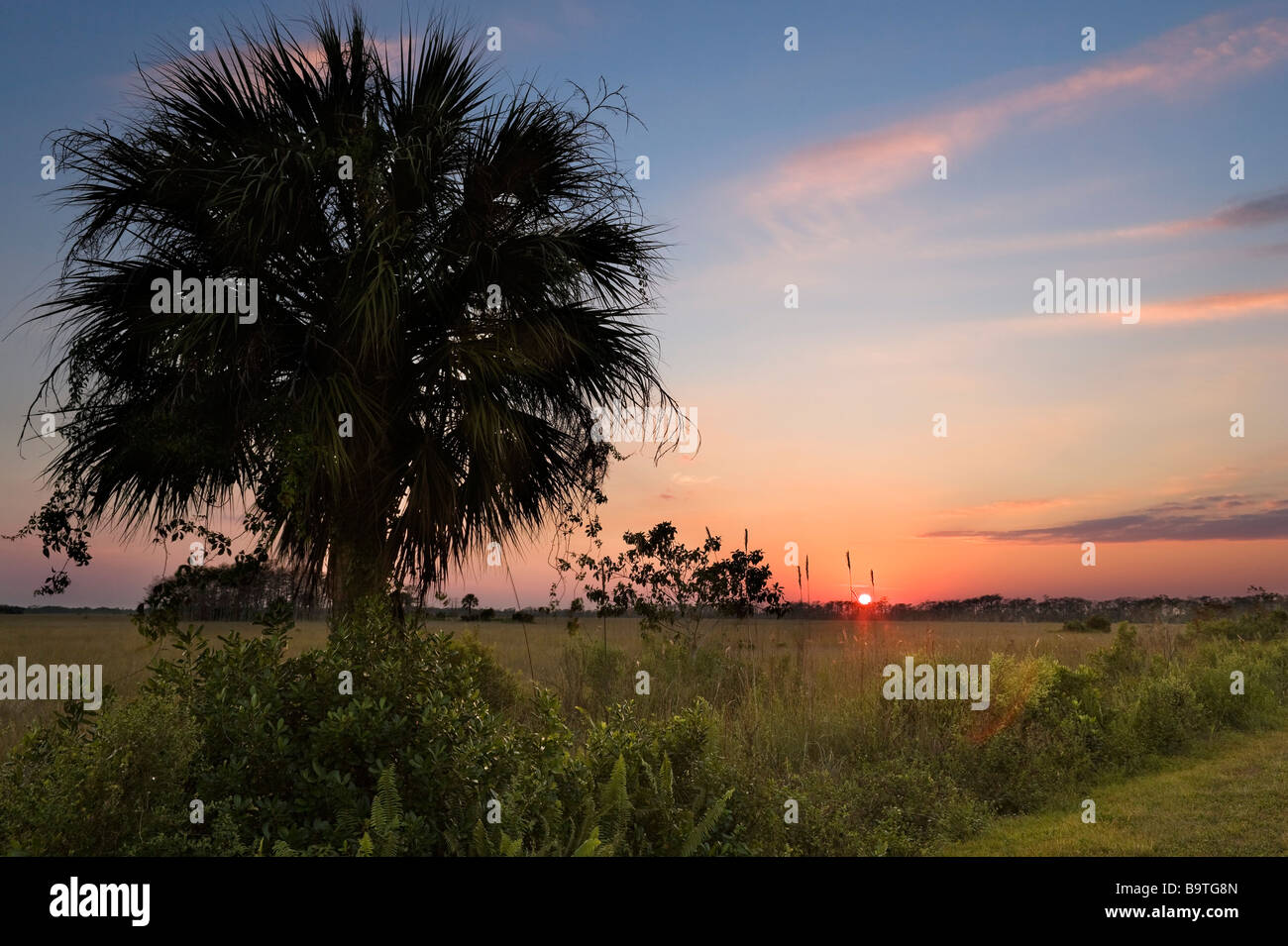 Campagne au coucher du soleil juste à côté de la Tamiami Trail (US 41), Big Cypress National Preserve, Everglades de Floride, USA Banque D'Images