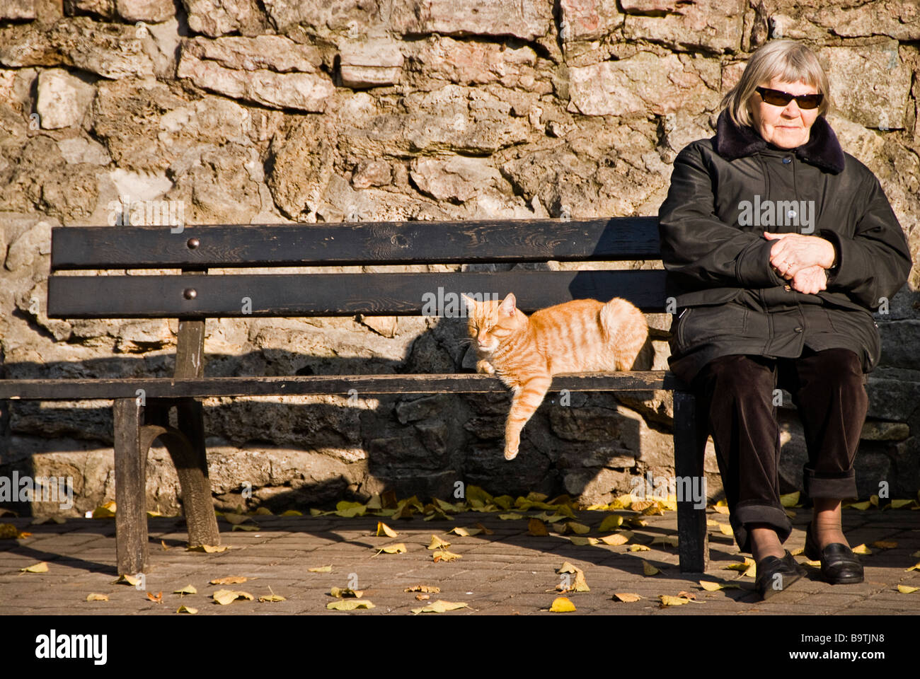 Femme et un chat assis sur un banc au soleil, Riga, Lettonie, en Europe Banque D'Images