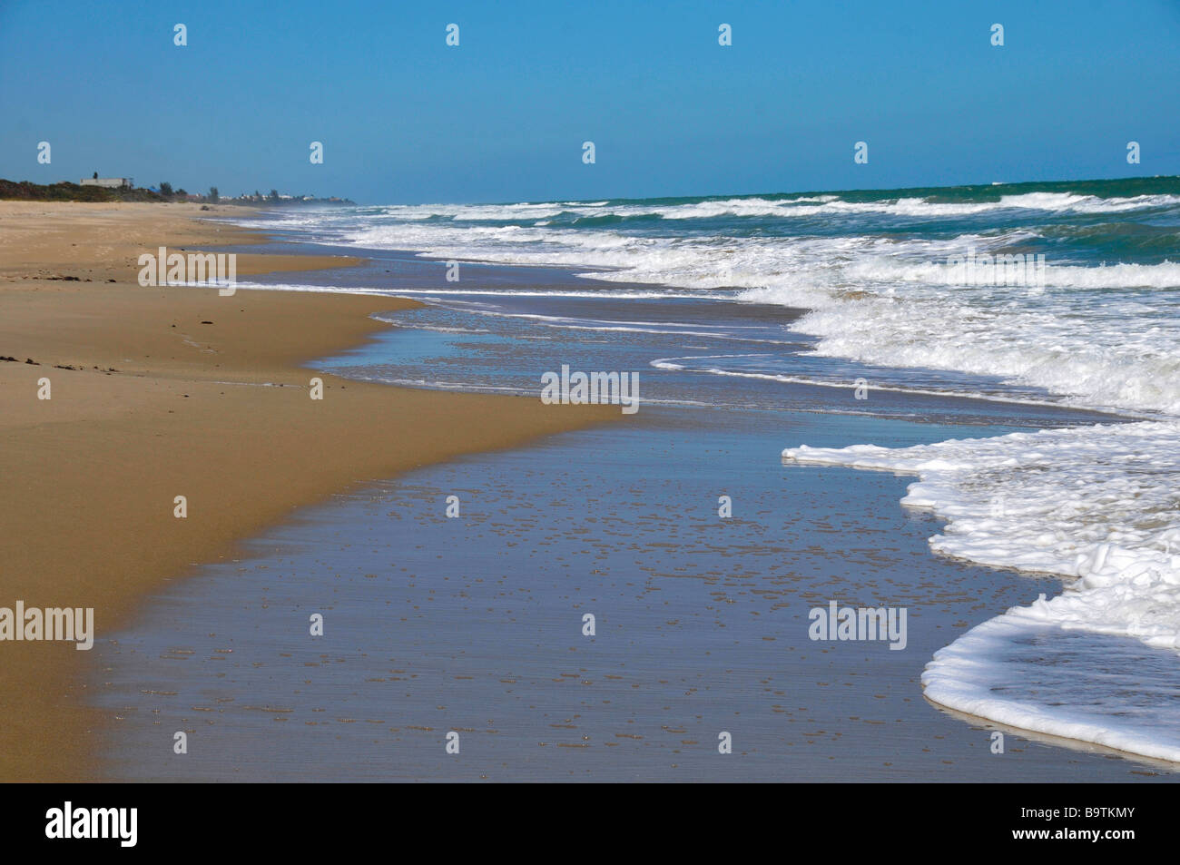 Rivage à l'état d'Avalon Park Florida Atlantic Côte Est US Banque D'Images