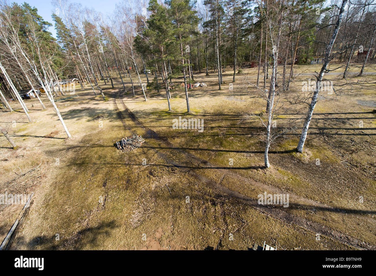 Vue aérienne de la forêt, la Suède Banque D'Images