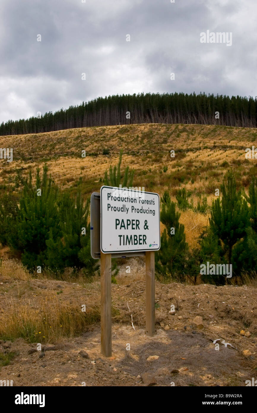 L'exploitation forestière en Tasmanie signe dans le village de Fitzgerald Banque D'Images