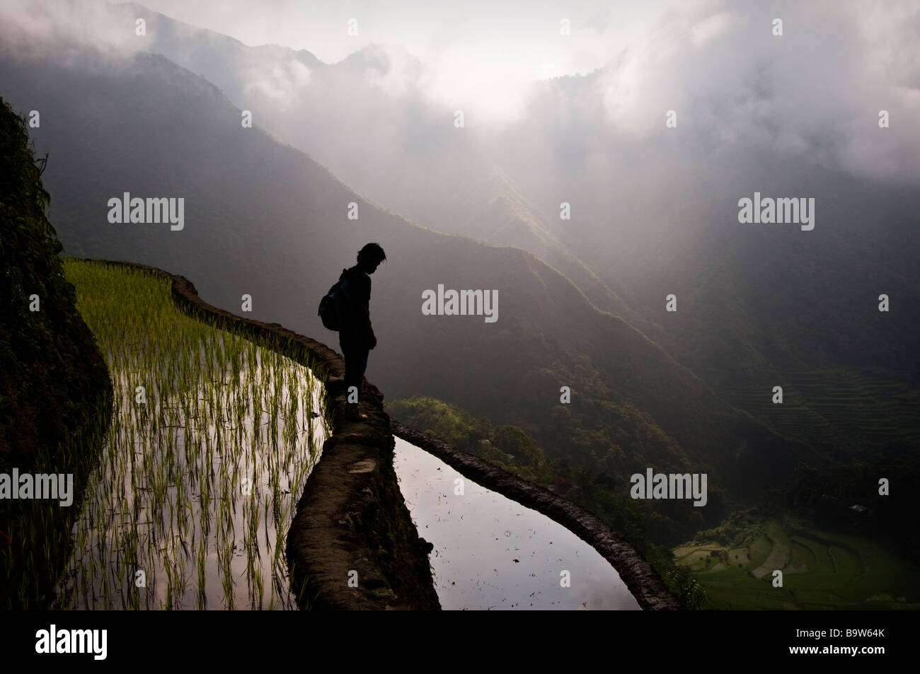 Un garçon regardant les rizières en terrasses de Batad, à l'aube. Banque D'Images