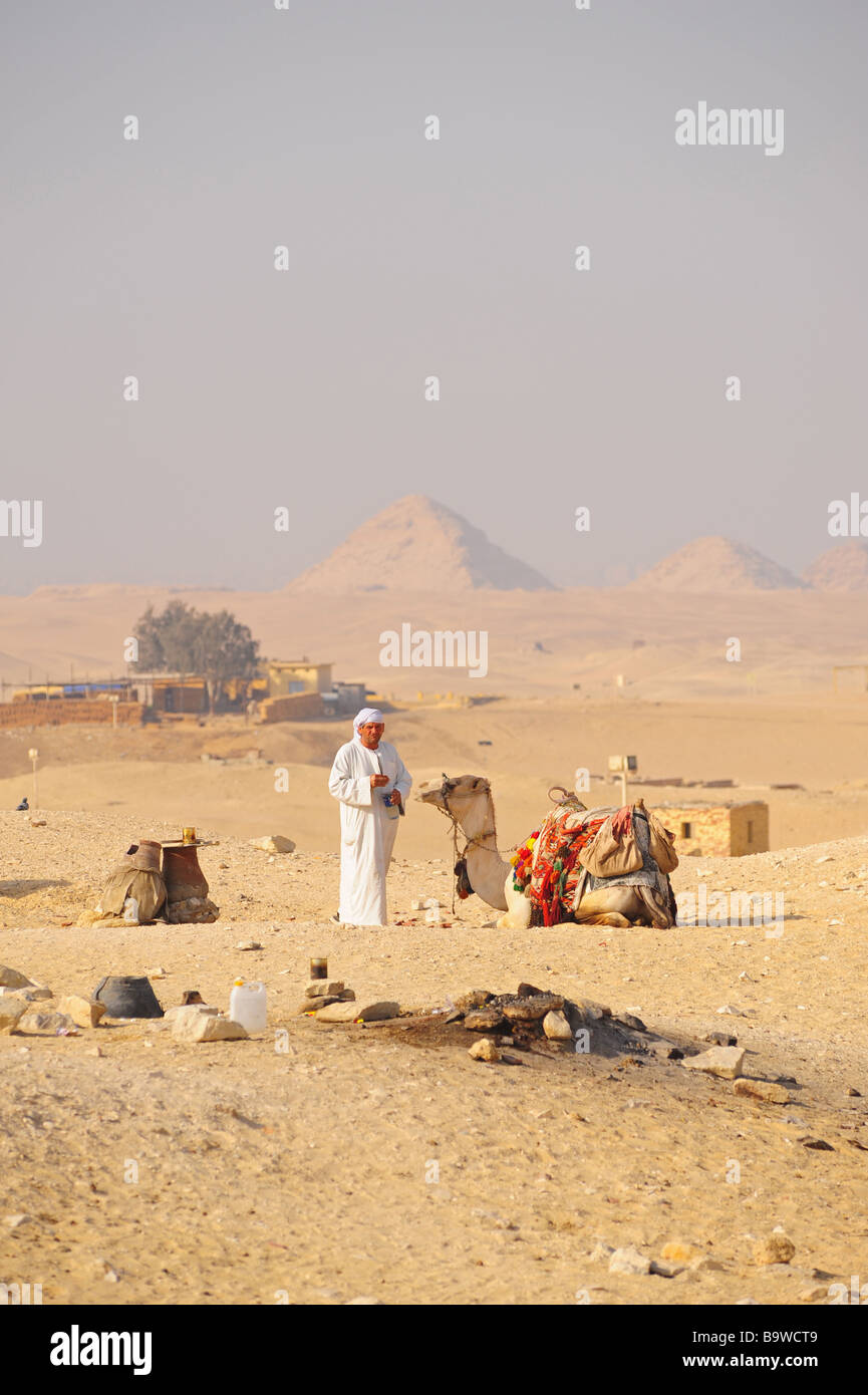 L'Egypte Gizeh saqqara ou saqqarah un chamelier promenades dans le désert près des pyramides Banque D'Images
