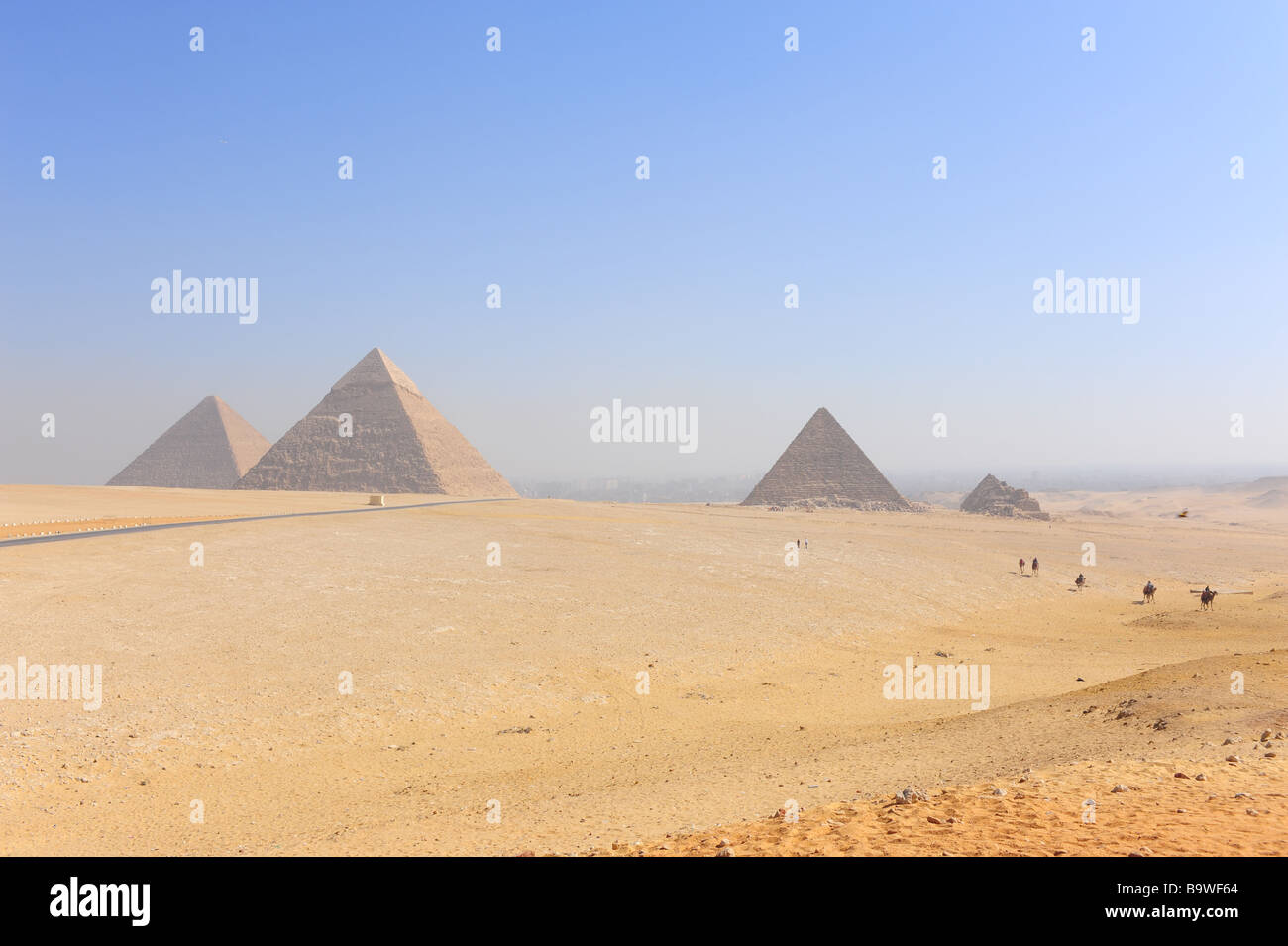 Les grandes pyramides de Gizeh Égypte chameaux Banque D'Images