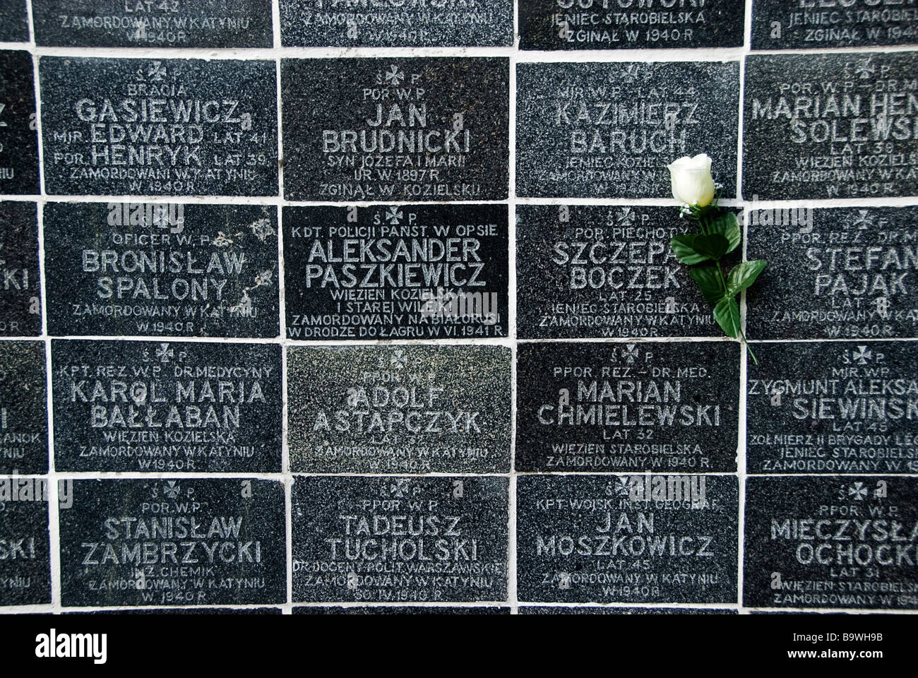 Fleur sur une tombe, lors de la célébration de la fête de Saint tous dans le cimetière Powazki, Varsovie, Pologne, Europe. Banque D'Images