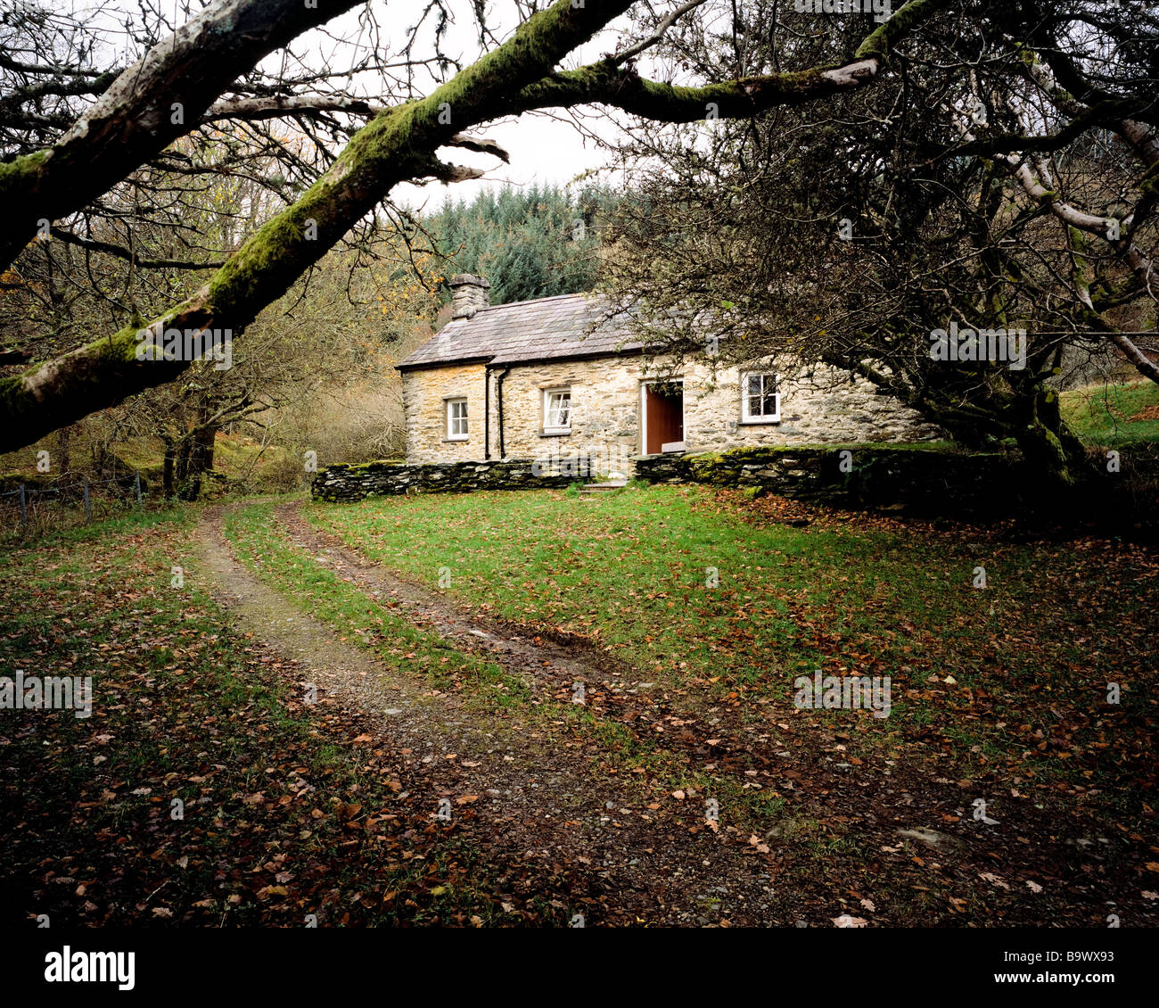 Gîte Ty Coch. Rhiwddolion, près de Betws y Coed. Le Parc National de Snowdonia. Le Pays de Galles. Banque D'Images