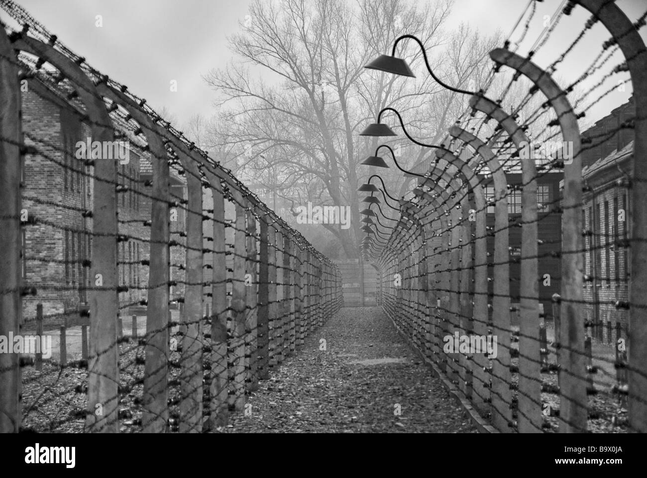 Vue sur le camp de concentration d'Auschwitz-Birkenau, en Pologne, en Europe Banque D'Images