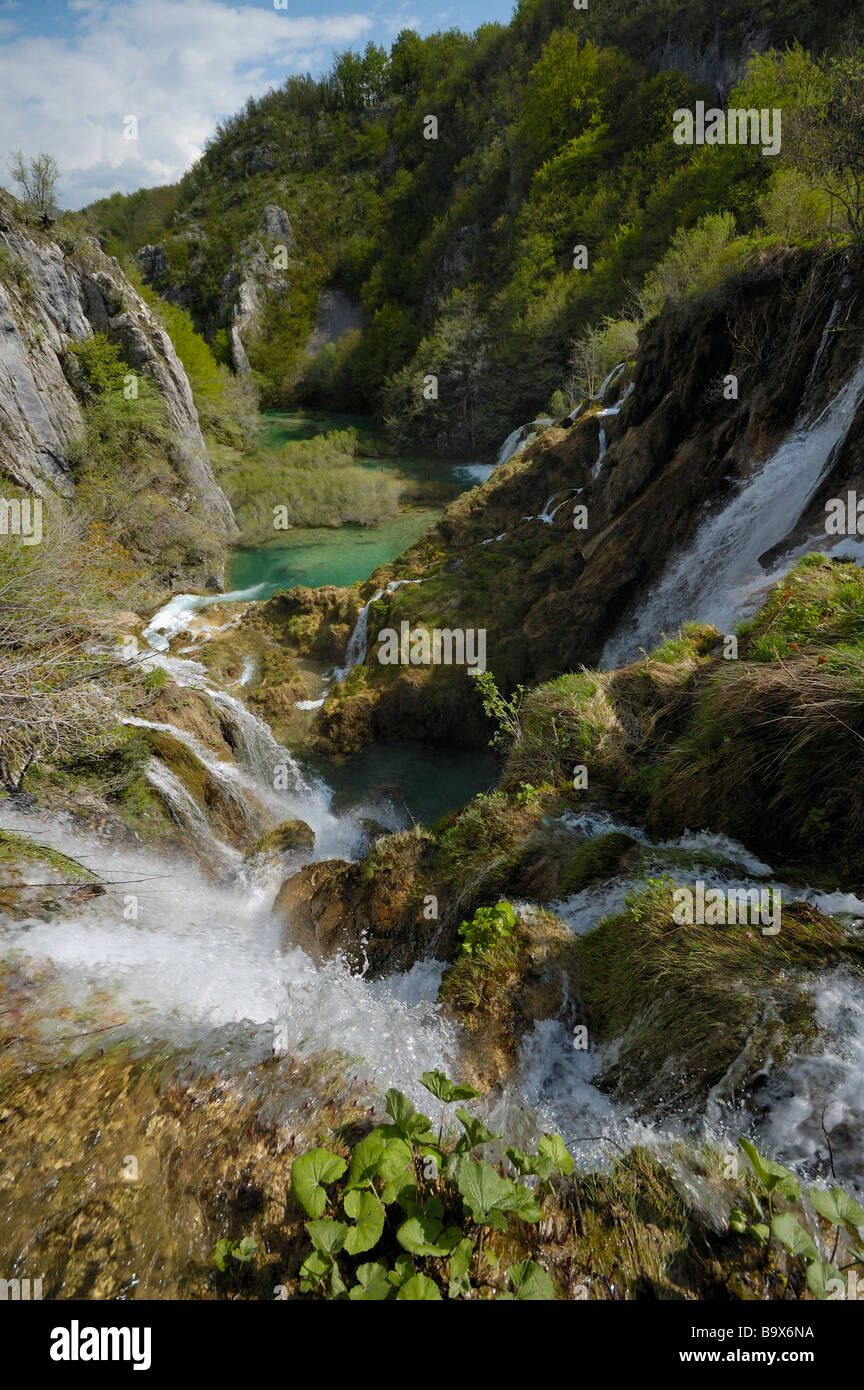 Printemps en parc national des Lacs de Plitvice, Croatie, Europe Banque D'Images