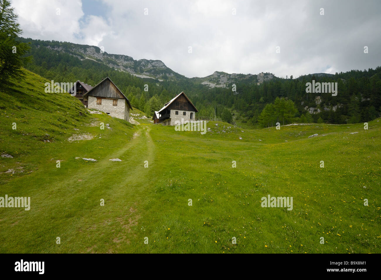 Petit village dans les Alpes, le parc national du Triglav, en Slovénie Banque D'Images