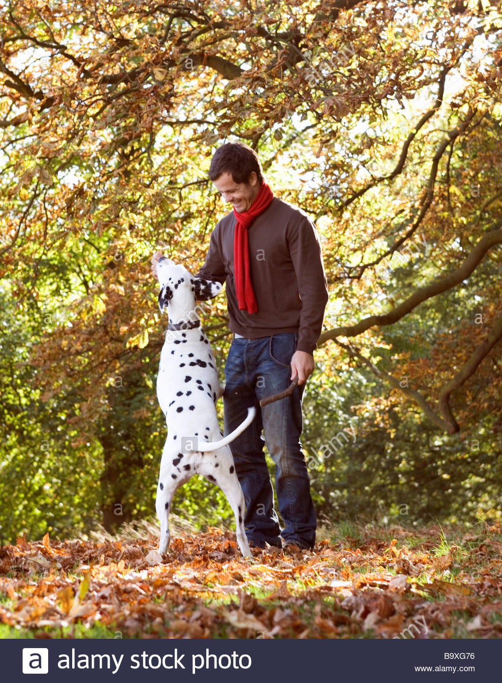 Chien Tacheté Noir Photos Chien Tacheté Noir Images Alamy