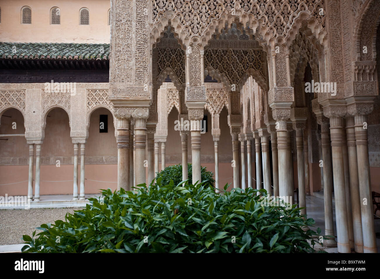 Patio de los Leones dans le Palais de l'Alhambra à Grenade Espagne Banque D'Images