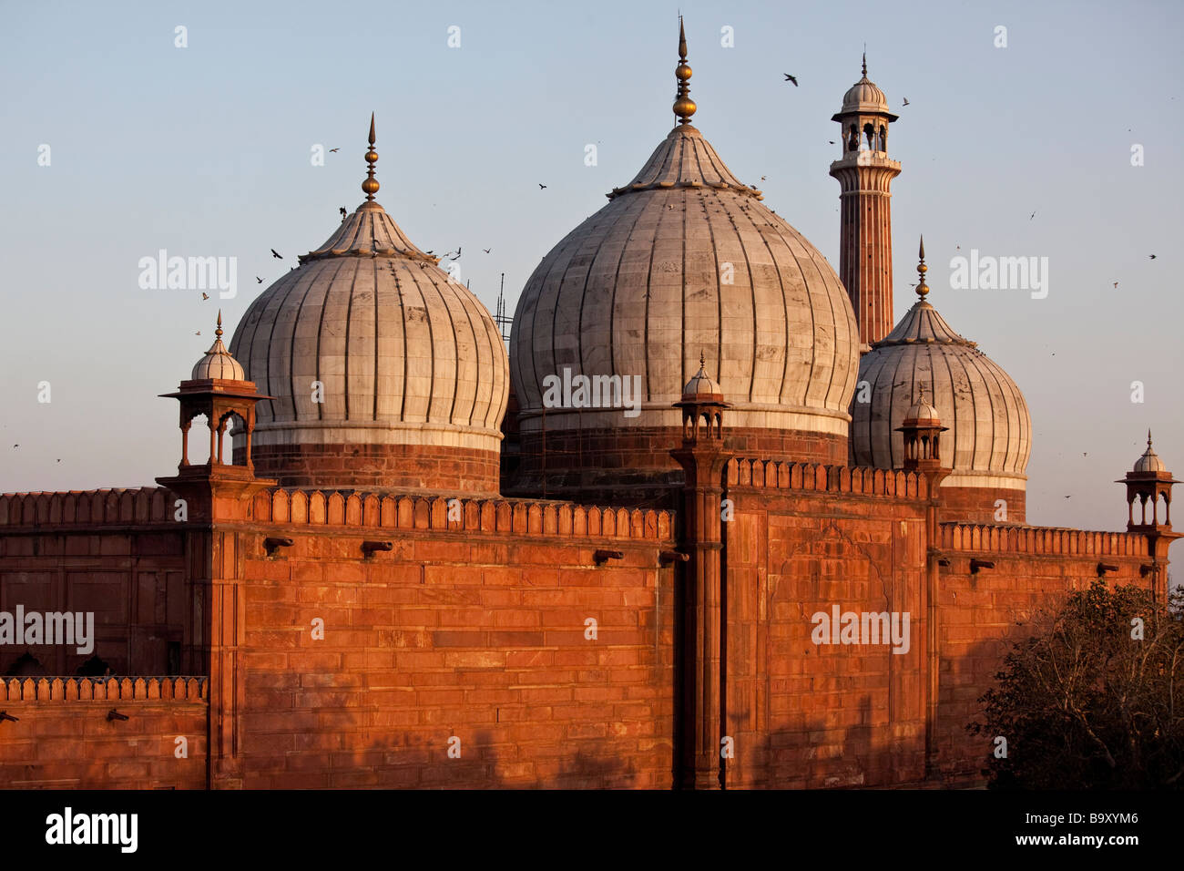 Dômes de la mosquée Jama Masjid ou vendredi dans Old Delhi Inde Banque D'Images