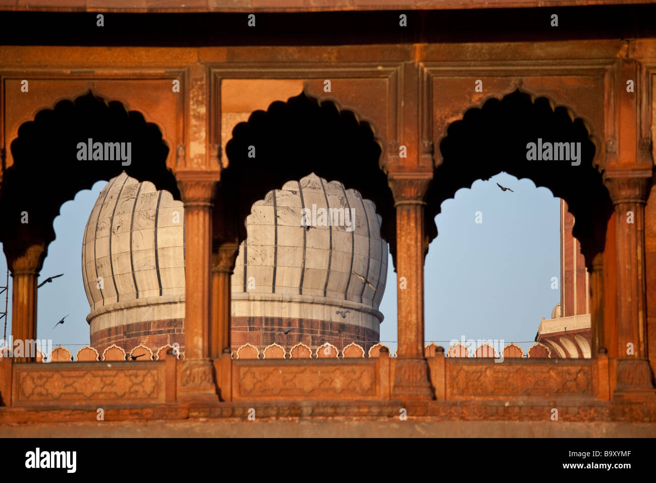 Mosquée du Vendredi ou la Jama Masjid à Delhi Inde Banque D'Images