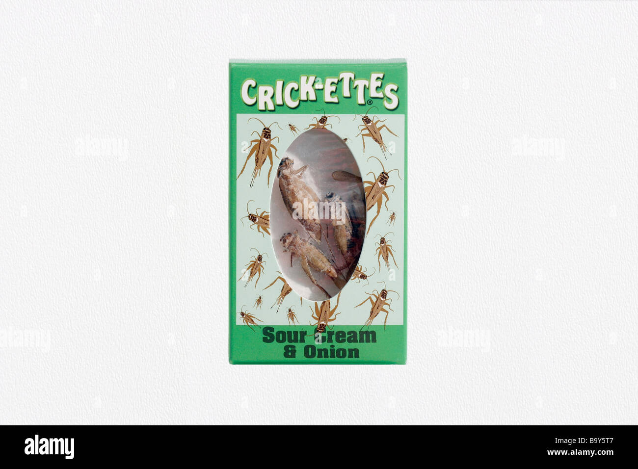 Du vrai cricket Snack food dans une boîte. Banque D'Images
