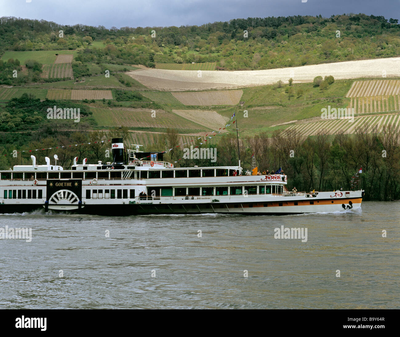 'Goethe' dernière à aubes sur le Rhin au cours de la dernière année de service dans le cadre de la vapeur, vallée du Rhin moyen, près de Lorch, Allemagne. Banque D'Images