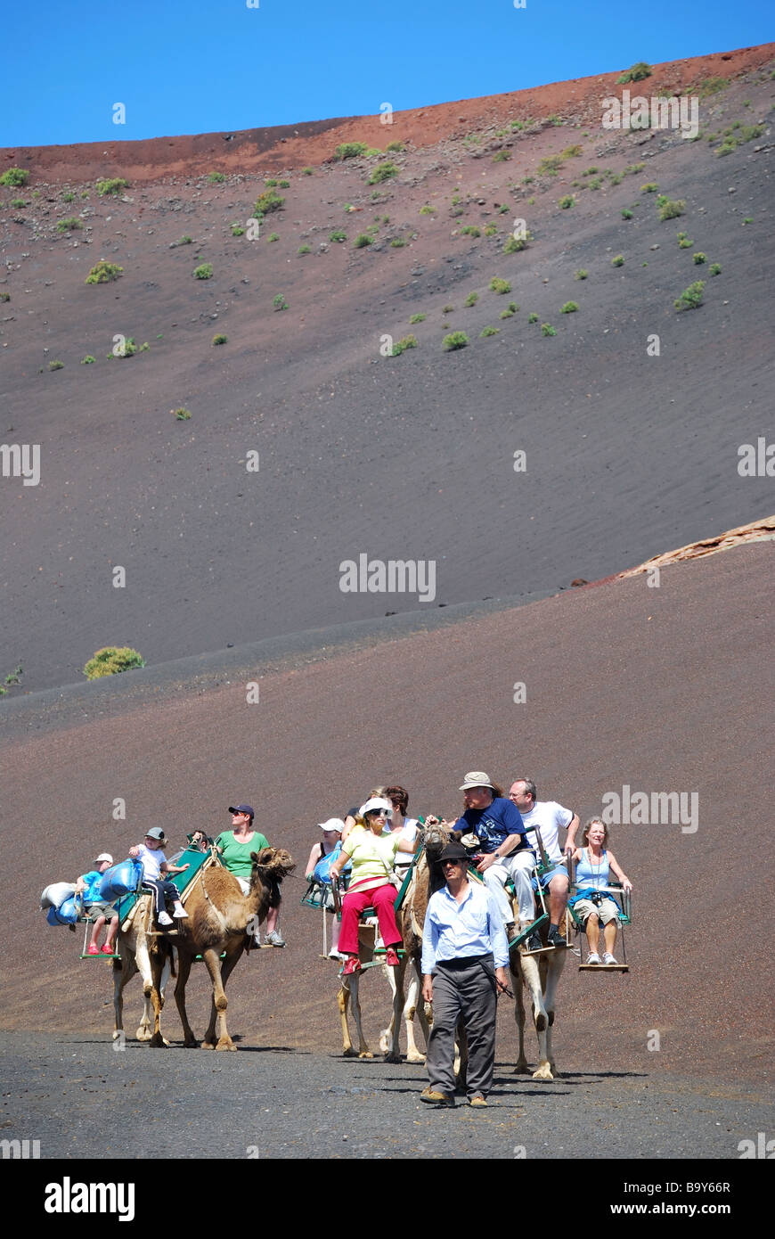 Promenades en chameau, le Parc National de Timanfaya, Lanzarote, îles Canaries, Espagne Banque D'Images