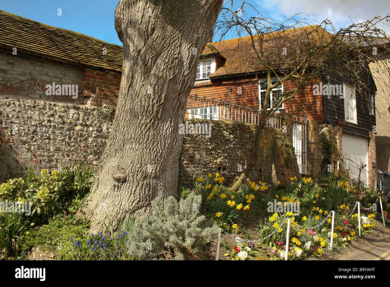 Fleurs de Printemps, 1 156 km, Sussex Banque D'Images