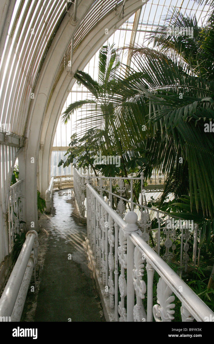 Galerie supérieure à la Palm House, Royal Botanical Gardens, Kew, Richmond, Surrey, UK Banque D'Images