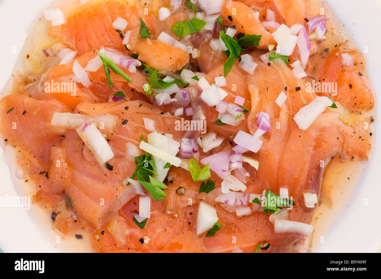 Ceviche de saumon plat avec l'oignon et le poivron vert Banque D'Images
