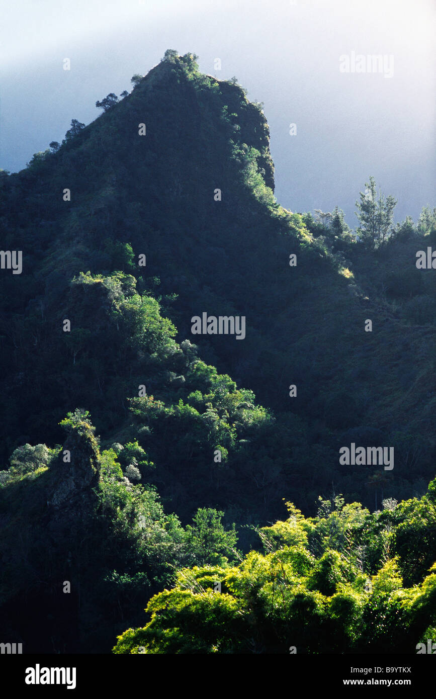 Paysage De Montagne Sur Lîle De La Réunion En Afrique