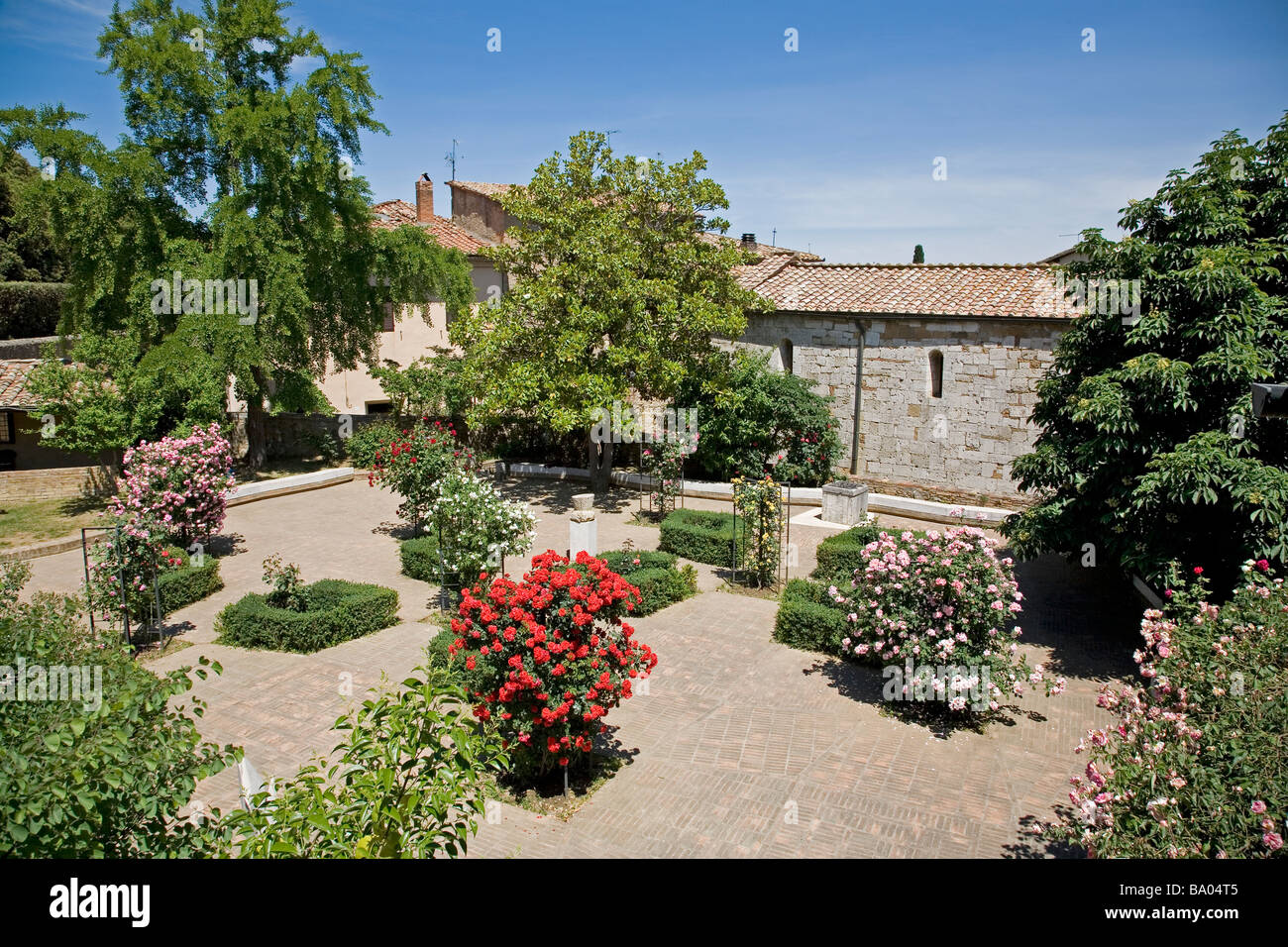 Rose Garden San Quirico d Orcia Banque D'Images