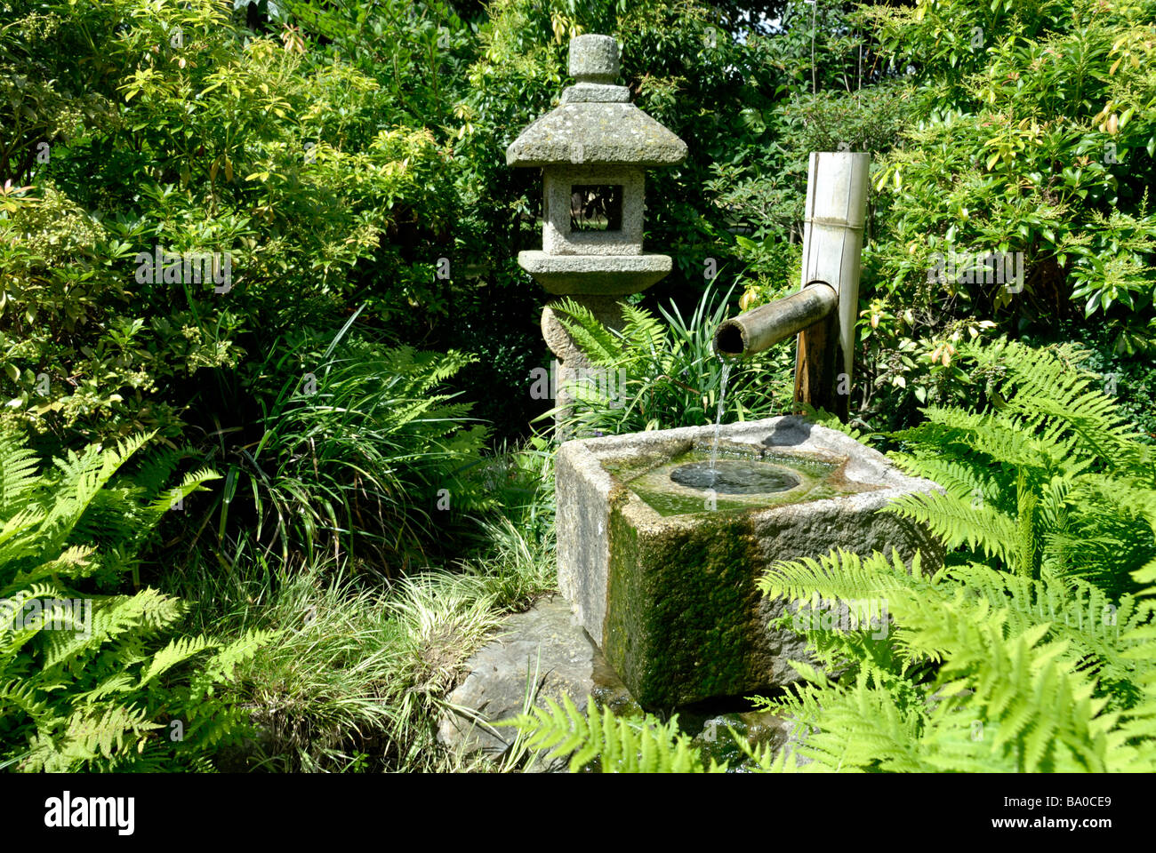 Voir d'eau entouré de feuillage aux Jardins botaniques royaux de Kew, Londres, Angleterre Banque D'Images