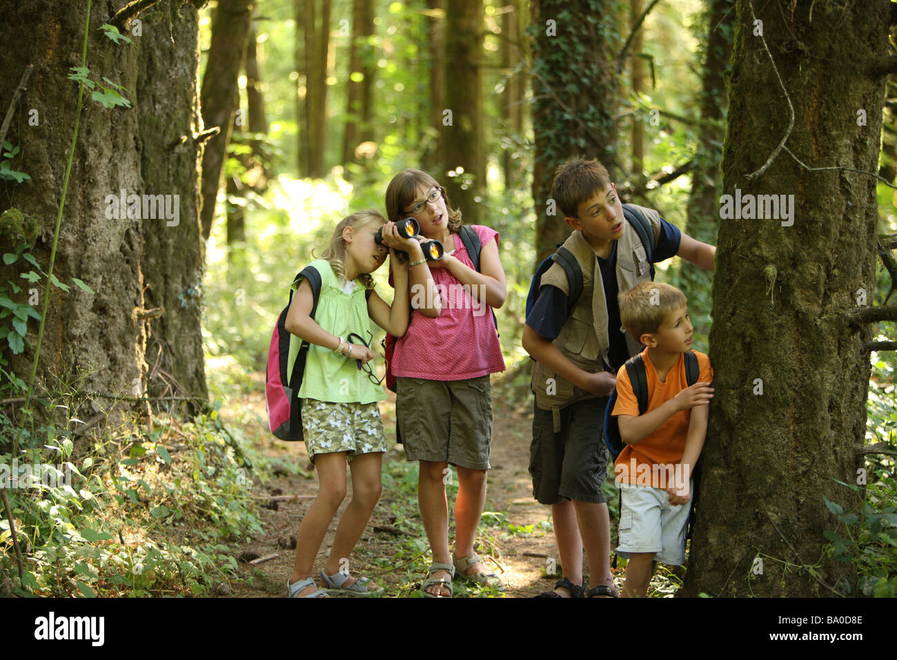 Groupe d'enfants avec du matériel de camping dans les bois Banque D'Images