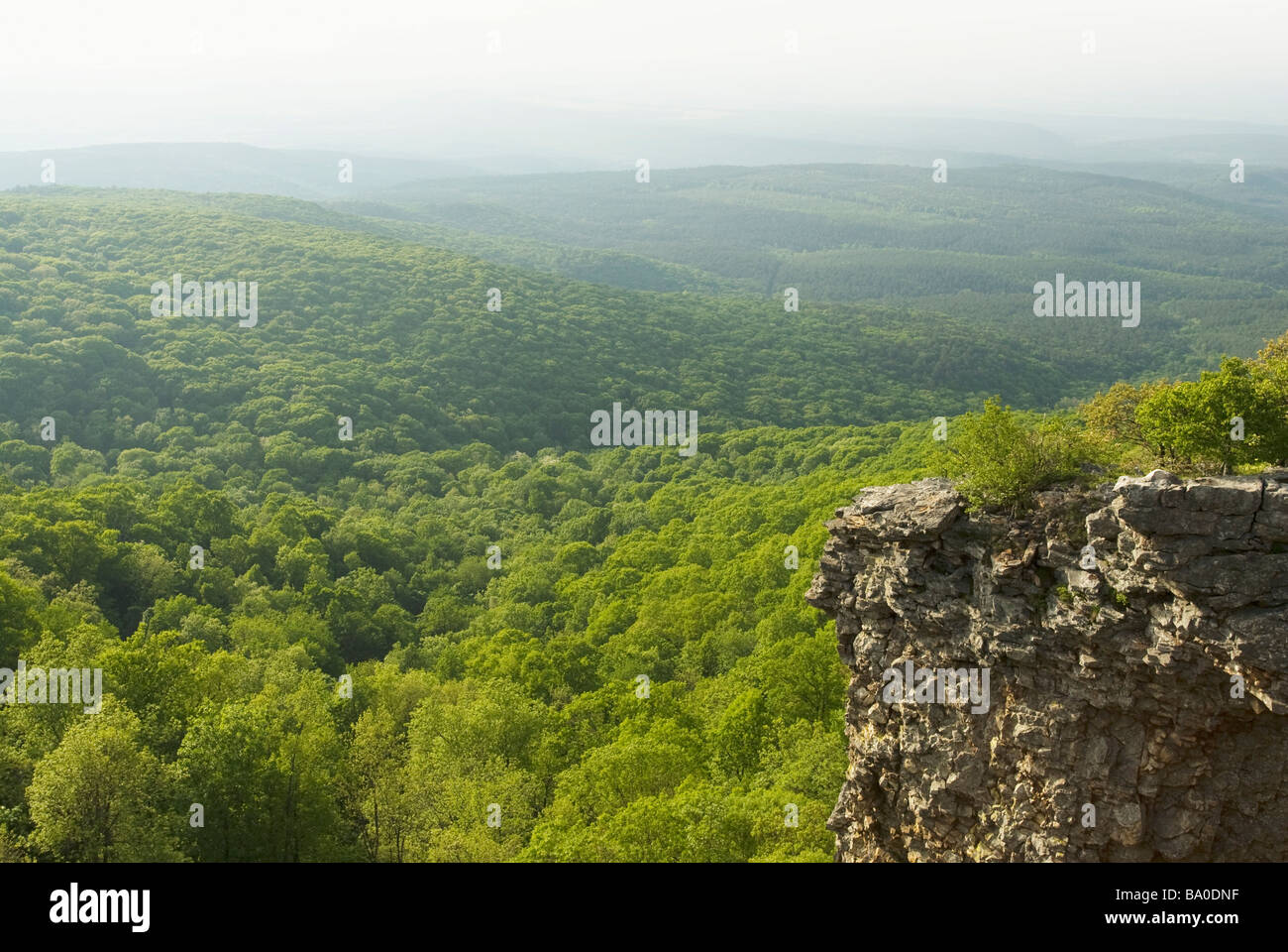 Parc d'état de Mount Magazine dans les monts Ozark de Logan Comté (Arkansas). Banque D'Images