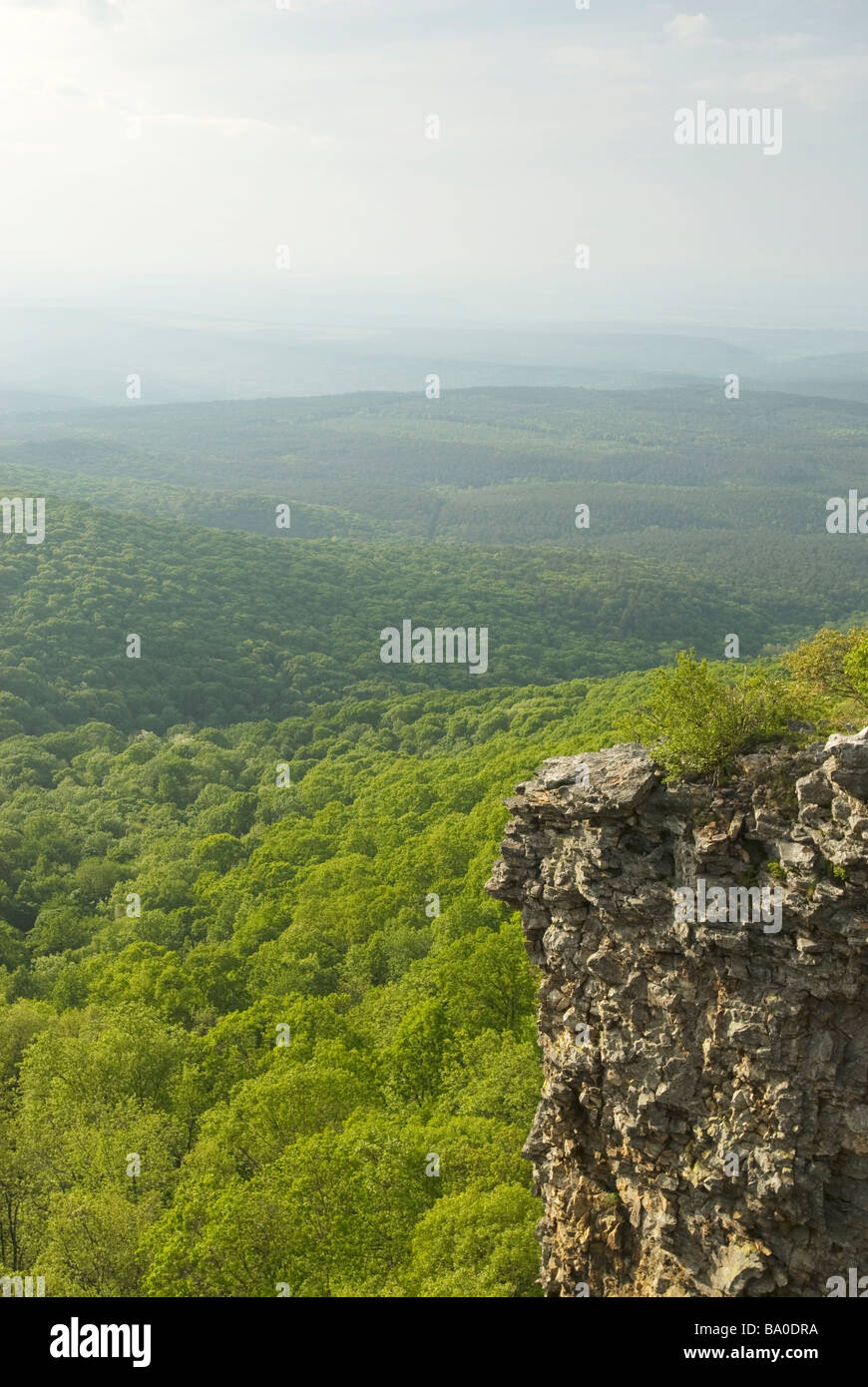 Parc d'état de Mount Magazine dans les monts Ozark de Logan Comté (Arkansas). Banque D'Images