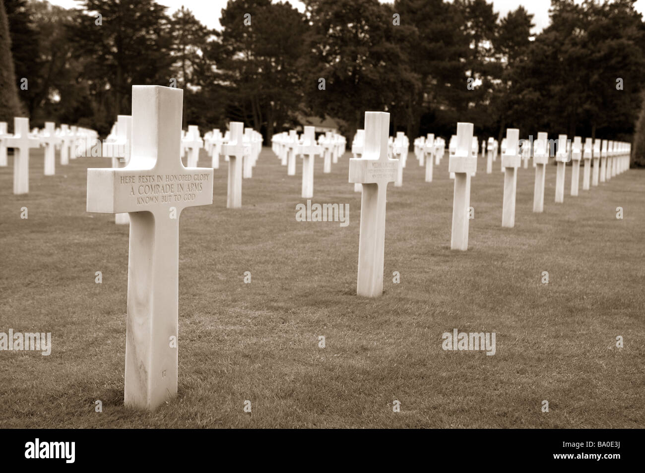 Stand croix blanches en souvenir et de marquage des tombes des militaires américains qui sont morts dans la deuxième guerre mondiale, lors du débarquement. Banque D'Images