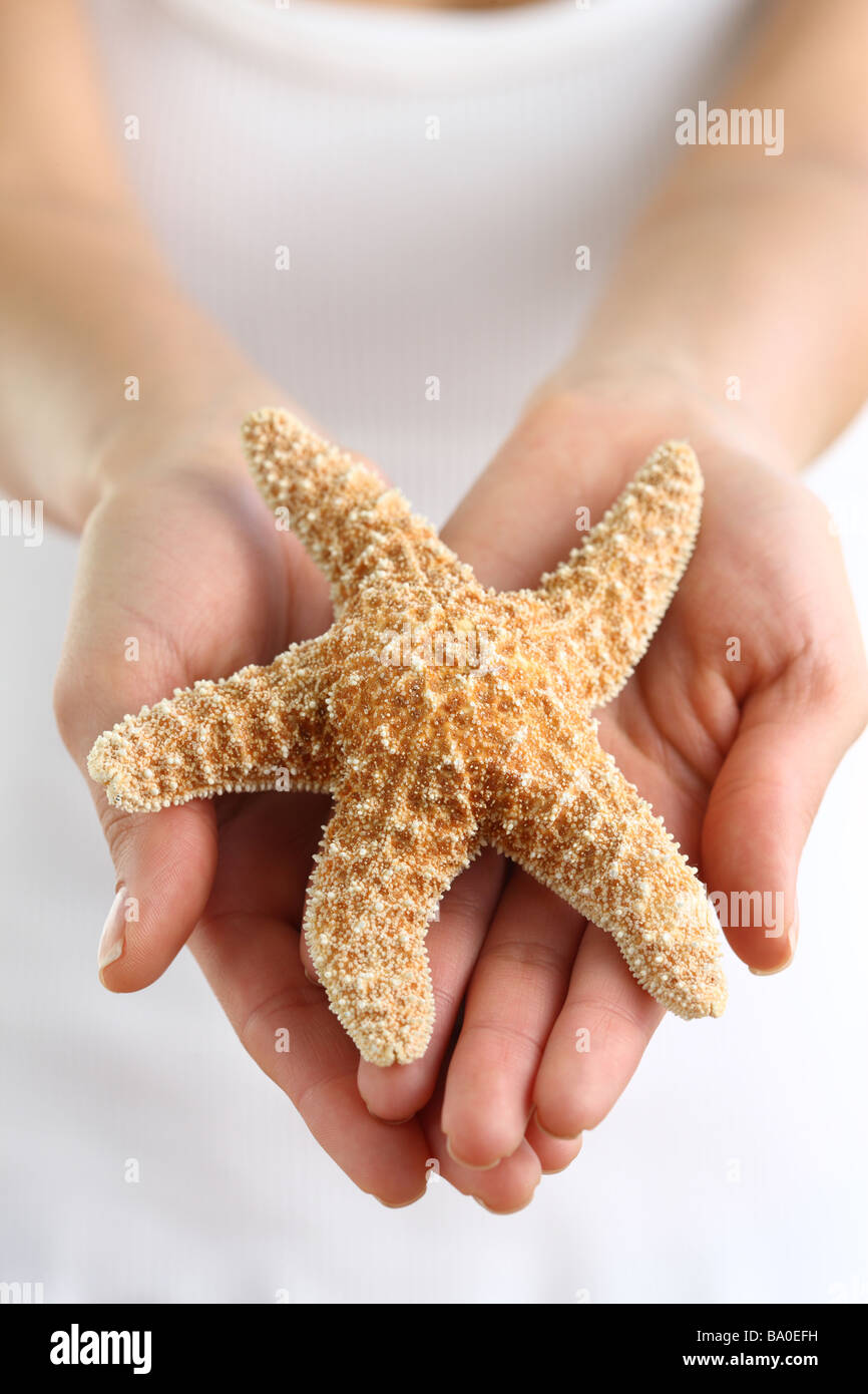 Hands holding starfish Banque D'Images