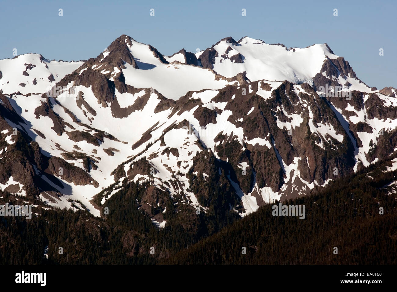 Montagnes Olympiques - Hurricane Ridge - Olympic National Park, Washington Banque D'Images