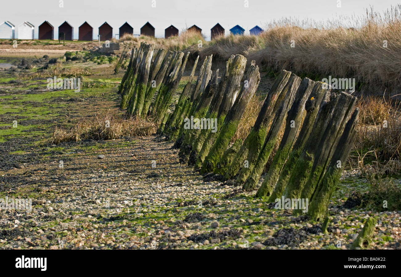 Rivage à calshot spit montrant des poteaux en bois patiné et cabines de plage. Banque D'Images