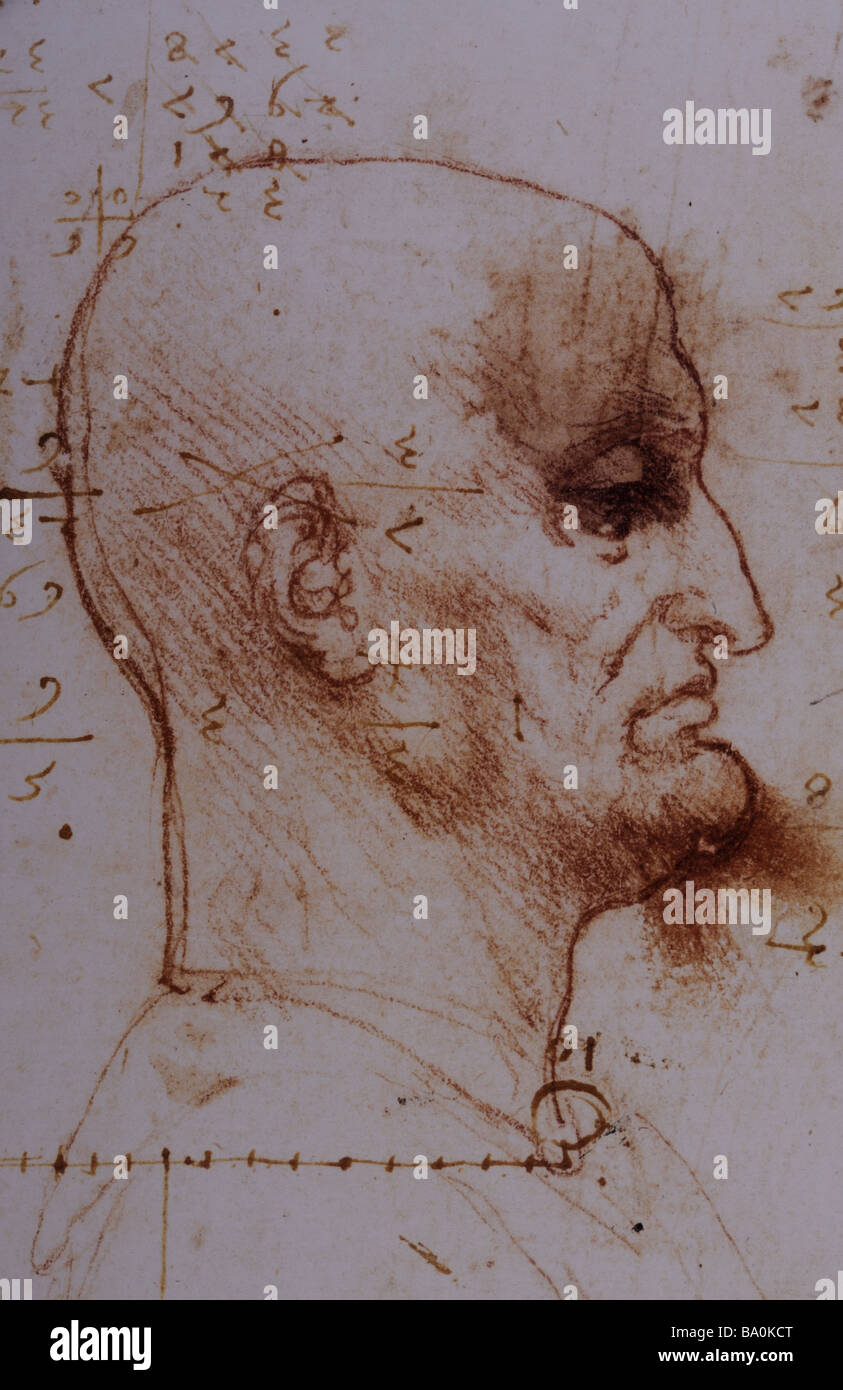 Homme chauve en profil de Léonard de Vinci 1495 plume et encre Banque D'Images