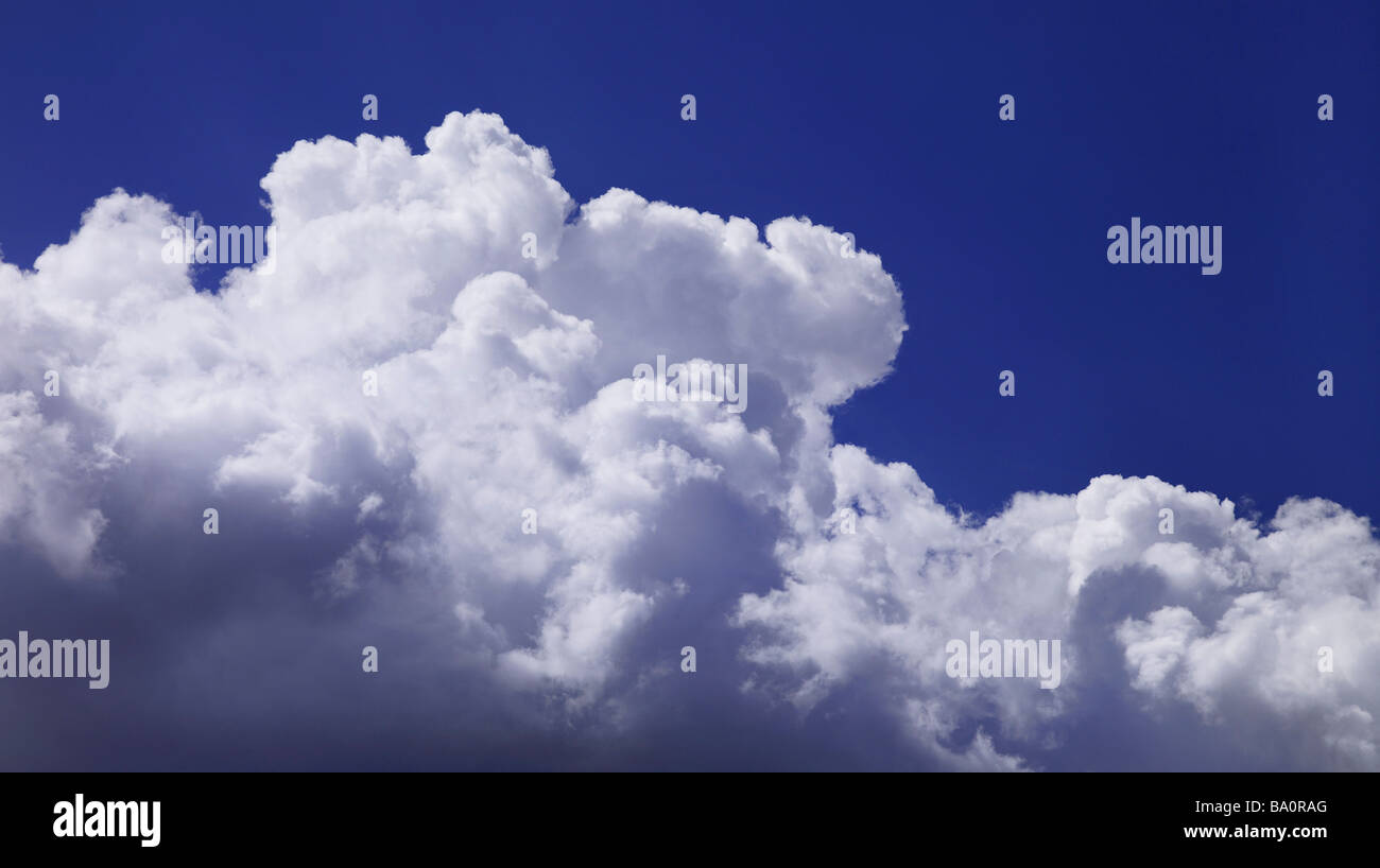 Fuffy avec ciel bleu nuages blancs Banque D'Images