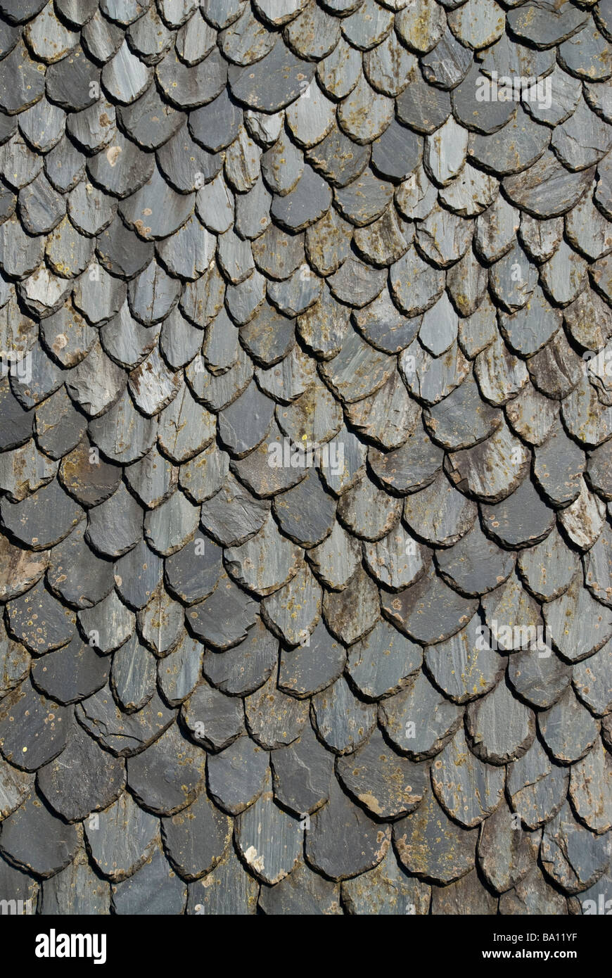 Tuiles en pierre traditionnel Auvergne France Banque D'Images