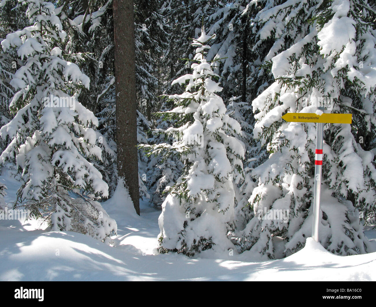 Paysage de montagne avec des forêts de sapins et des piétons chanter, Tirol, Autriche Alpes Banque D'Images