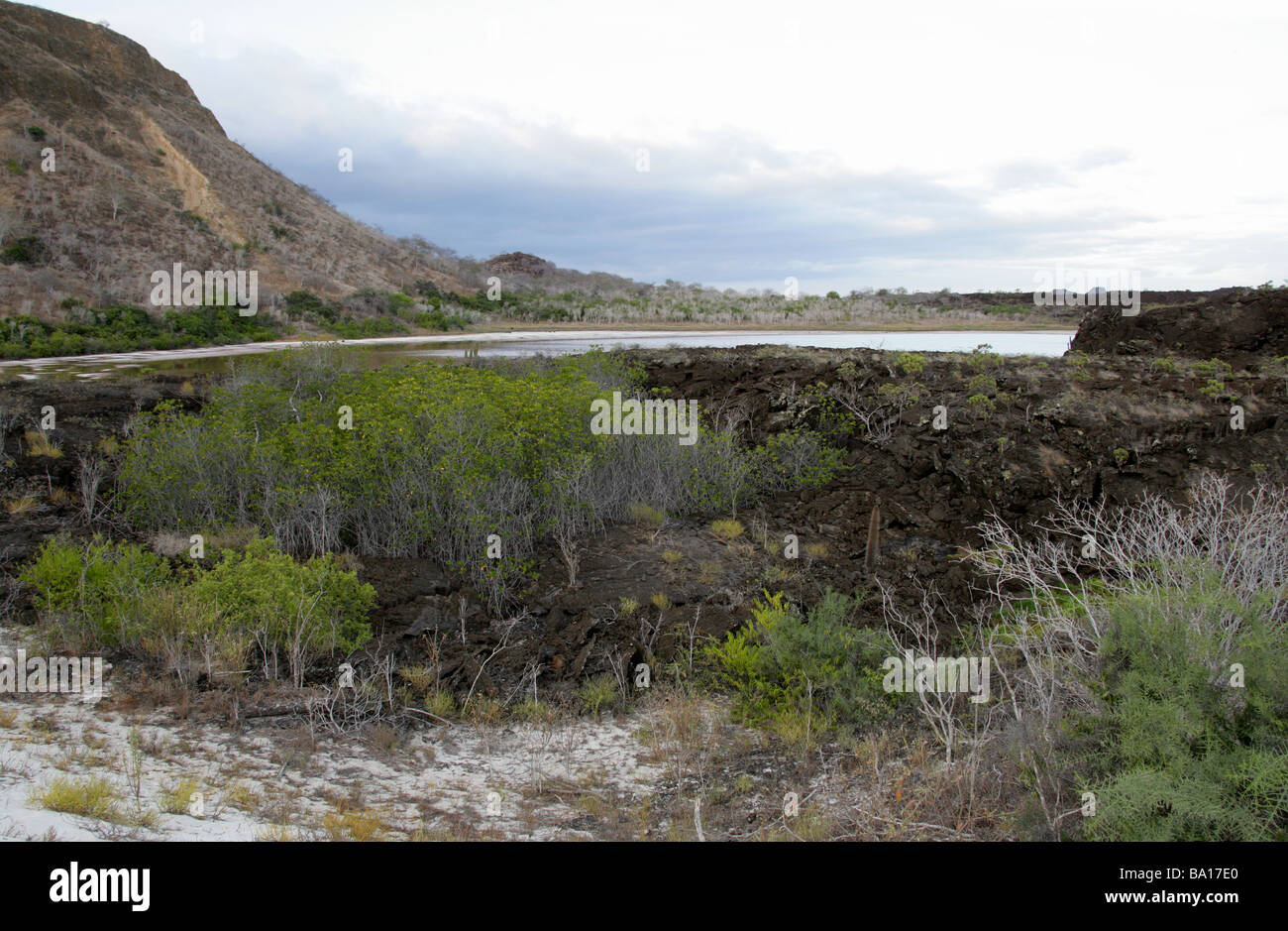 Cerro Brujo, San Cristobal Island, îles Galapagos, Equateur, Amérique du Sud. Banque D'Images