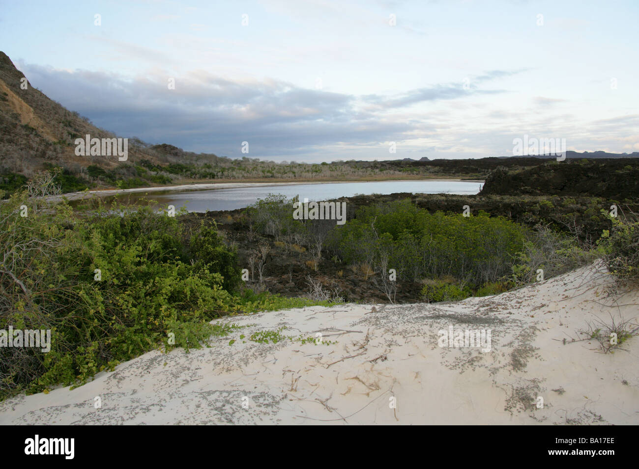 Cerro Brujo, San Cristobal Island, îles Galapagos, Equateur, Amérique du Sud. Banque D'Images