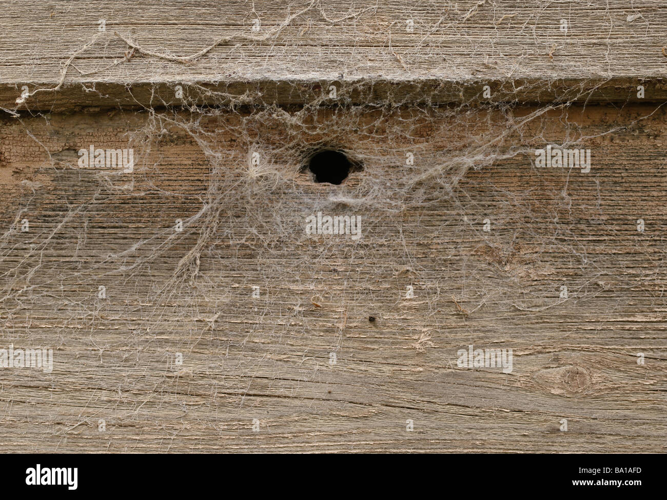La texture de fond bois rough old grunge grungy sales retro vintage marquée d'une clôture de planches de bois patiné usé Banque D'Images