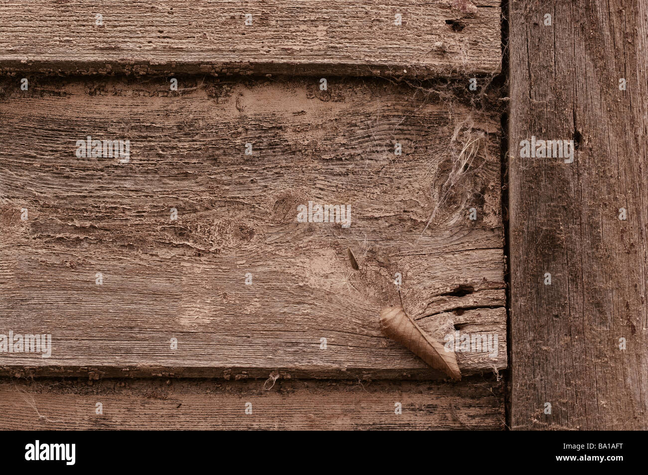 La texture de fond bois rough old grunge grungy sales retro vintage marquée d'une clôture de planches de bois patiné usé Banque D'Images