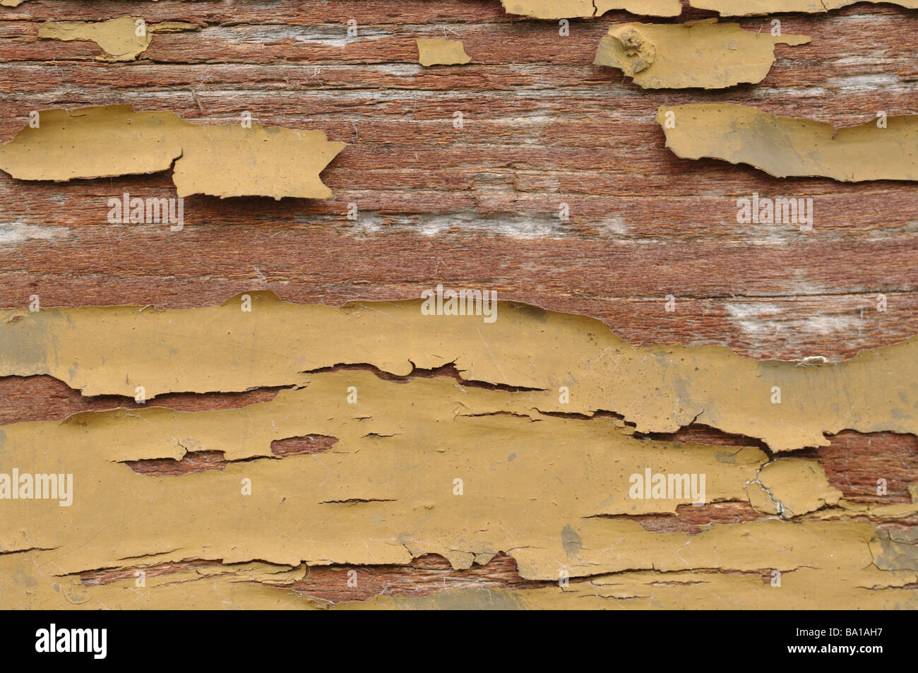 Grande image de vieux bois avec la peinture écaillée Banque D'Images