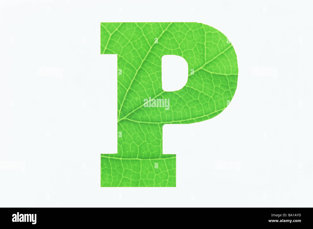 P Alphabet vert sur fond blanc Banque D'Images