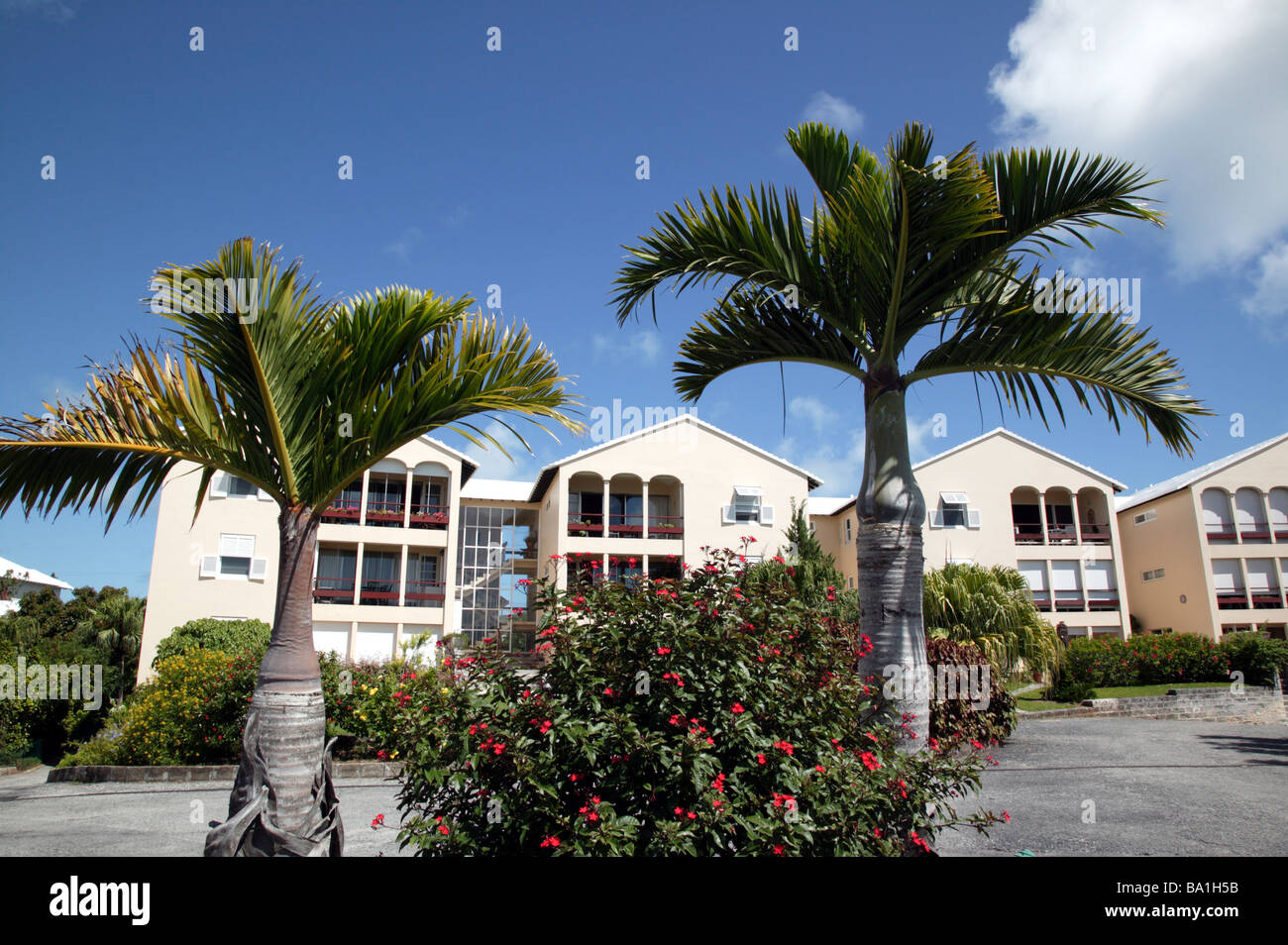 D Roxdene Appartmments Shot, Pembroke Parish, Bermudes Banque D'Images